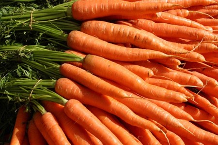 carrot450