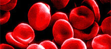 blood_cells-225
