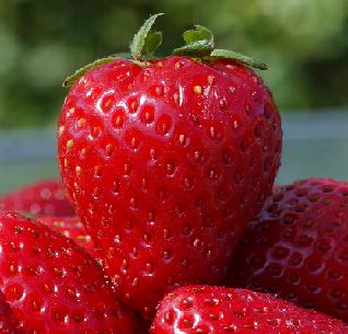 strawberry1