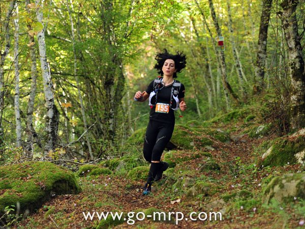 rout_2011_1
