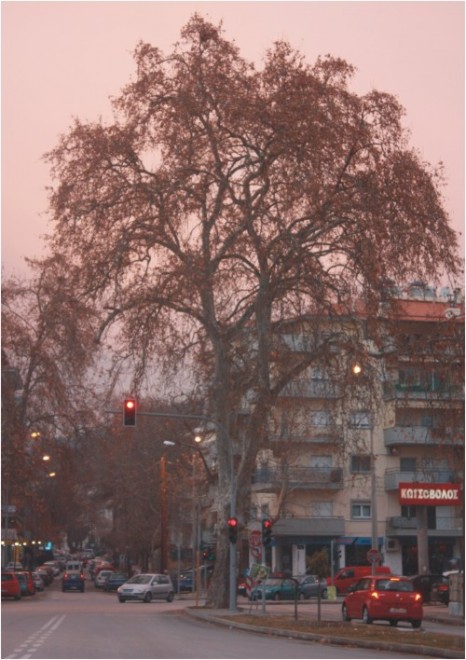 kapnergaton_3