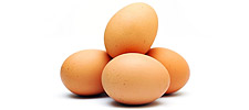 eggs225