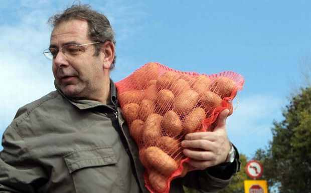 patates