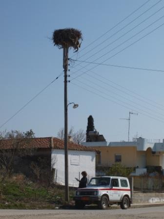 pelargoi