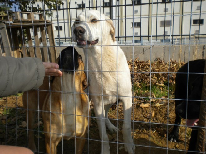 291732 4053999391873 1980701264 n