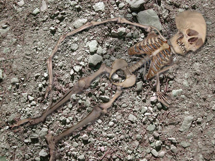 anthrwpinos-skeletos