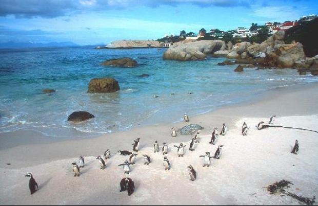 BAULDERS BEACH