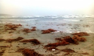 IMG_20150201_121819