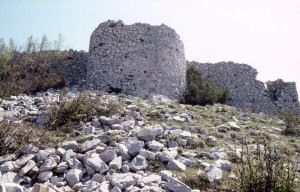 frourio avgo